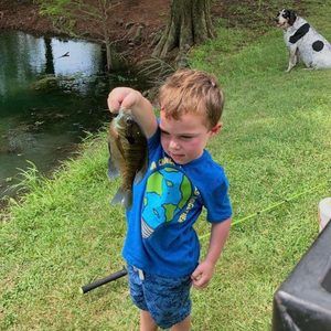 Meet your Posher, Brooklynn